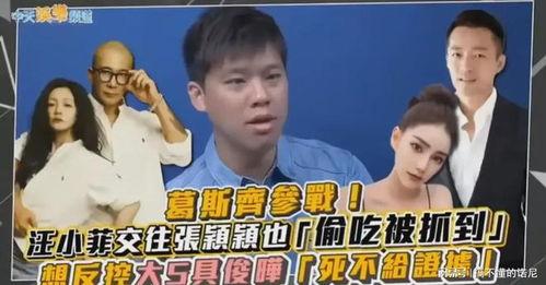 葛斯齐最新爆料大s孩子模仿,大S孩子模仿惊人细节曝光